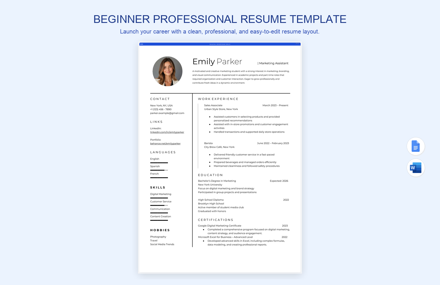 Beginner Professional Resume Template