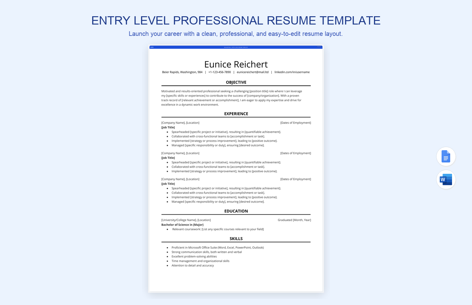 Entry Level Professional Resume Template