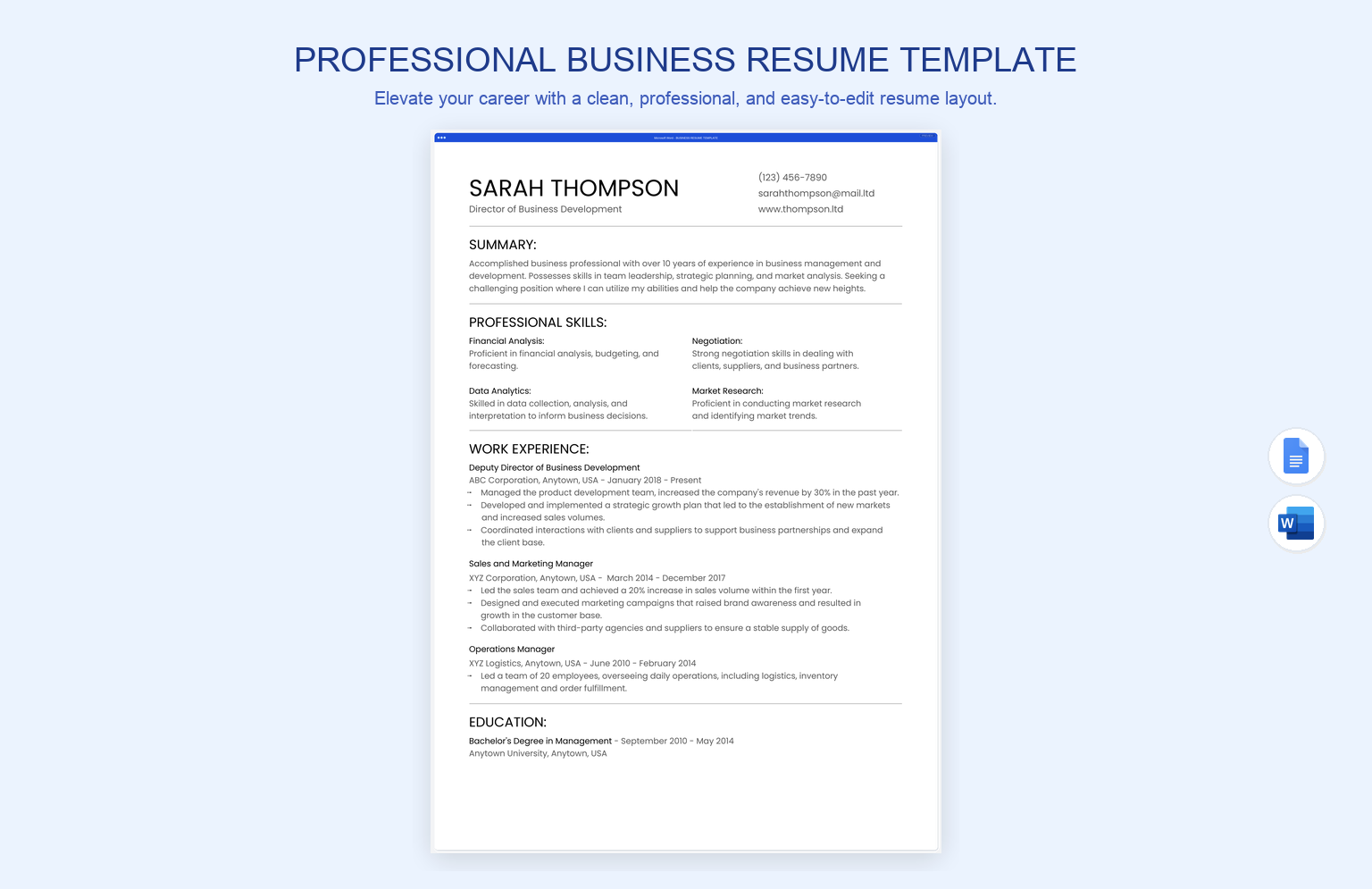 Professional Business Resume Template