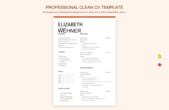 Professional Clean CV Template
