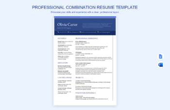 Professional Combination Resume Template