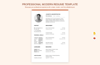 Professional Modern Resume Template