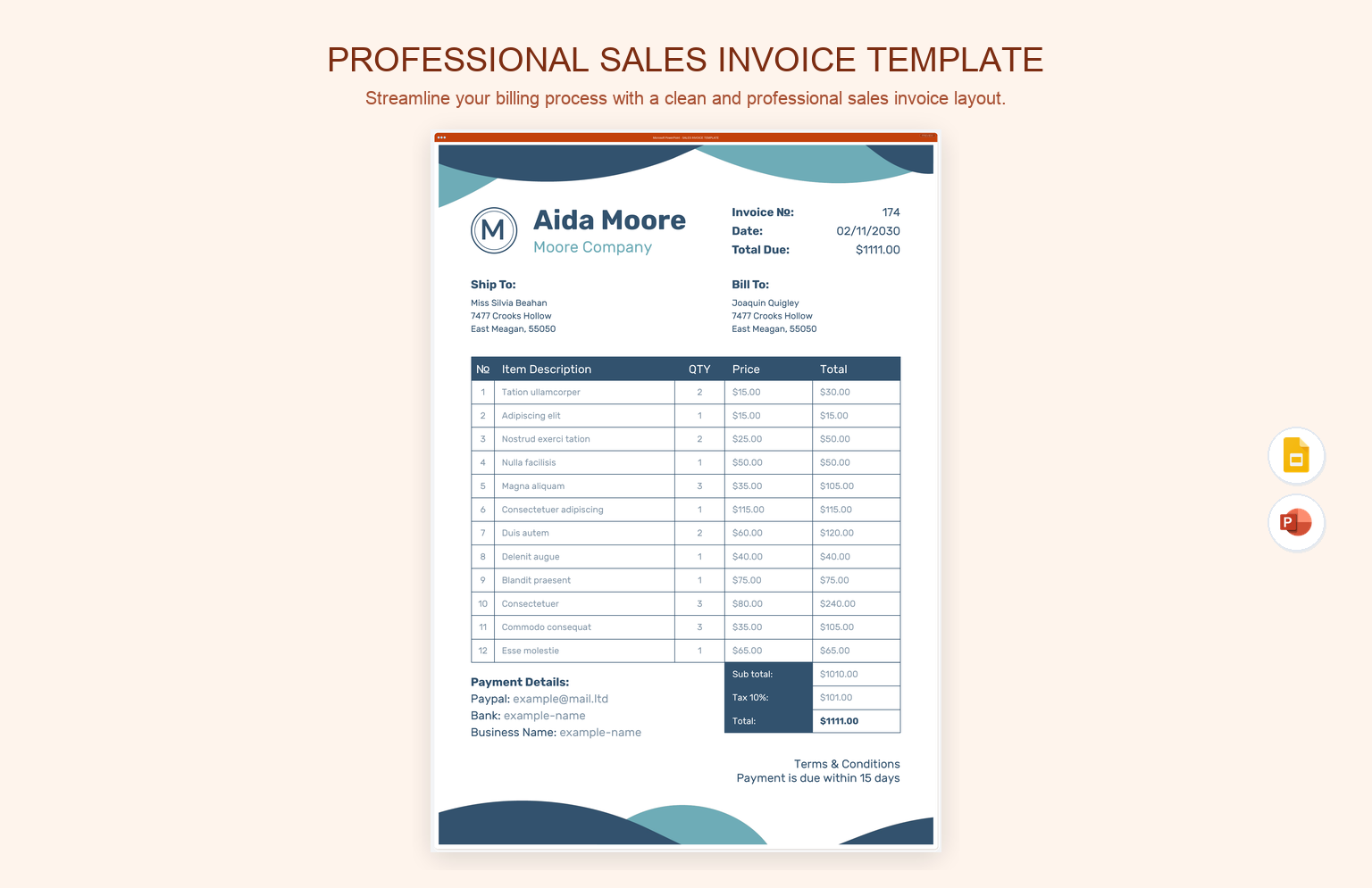 Professional Sales Invoice Template product preview thumbnail